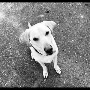 Meet your Posher, Tara